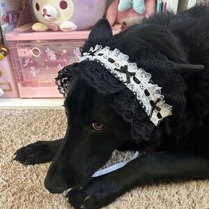 Meet your Posher, Gabrielle